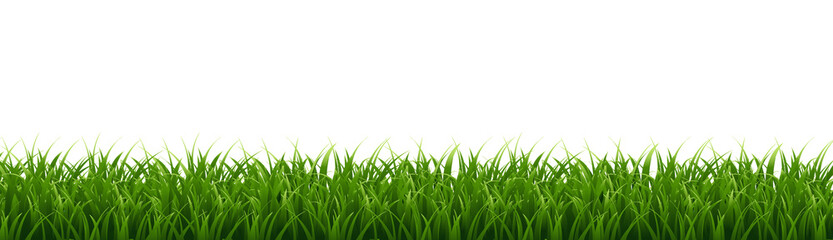 Wall Mural - Green Grass Border Isolated White Background