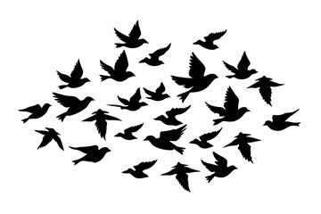 Sticker - flock of birds silhouette vector illustration