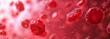 © Jane Kelly - Red blood cells background