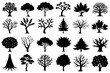 © Shiju Graphics - Different types of trees silhouette vector illustration