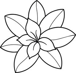 black and white flower illustration