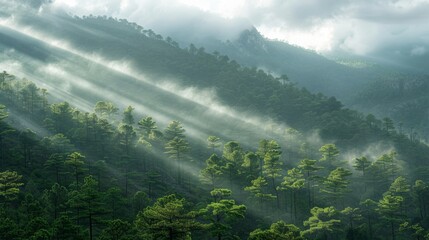 Canvas Print - Sparkling Light in the Mountains