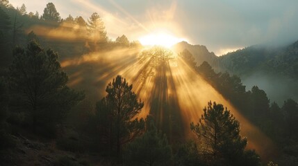 Poster - Sunlight in the Mountains