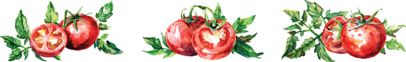 watercolor painting of a tomato and leaves in the style of clipart, isolated on a white background