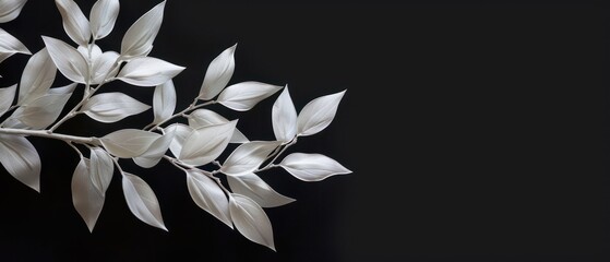 Wall Mural - white leaves, special effects, pure black background
