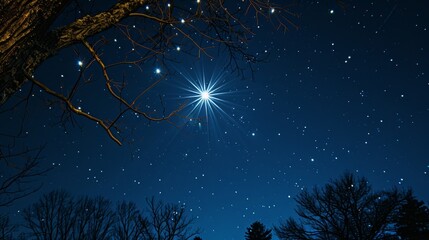 Poster - The Bright Star Rigel in the Constellation Orion 