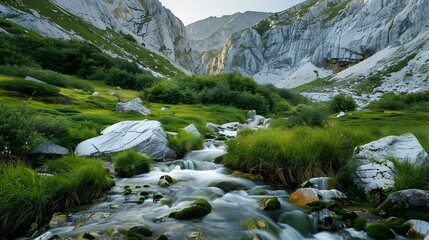 Wall Mural - grass and stream in the mountains