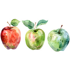 Wall Mural - Set  Apple on a white background watercolor hand drawing