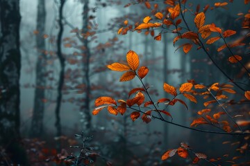 Sticker - Misty Autumnal Forest with Vibrant Foliage in Shades of Orange and Red