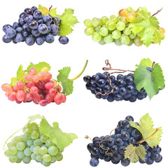 Sticker - Set of grapes isolated