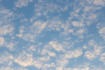 Wall Mural - the sky is blue with many clouds