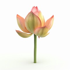 Poster - A large lotus bud blooming