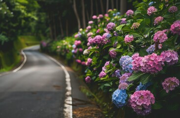 Wall Mural - Hydrangea flowers