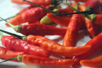 chilli. extra hot red chili. Red hot chili pepper isolated on white background. cooking flavoring. Chili cutting path.