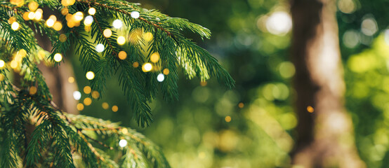 Wall Mural - fir branch decorated with a garland is depicted. the garland, consisting of small bright lights, is 