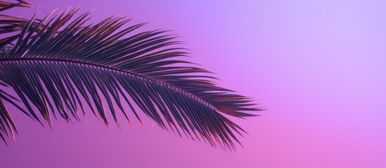 Poster - A palm tree with a purple hue captured at a lower angle with a copy space image included.