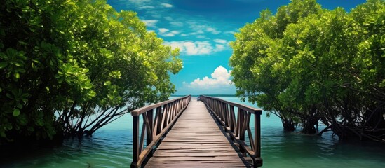 Wall Mural - A serene mangrove forest surrounds a wooden bridge in the background, creating an ideal copy space image.