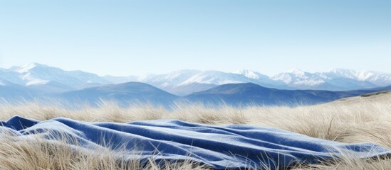 Aufkleber - Grass blankets the terrain with a scenic backdrop of snowy mountains, creating a serene copy space image.