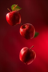 Wall Mural - A group of apples are flying through the air. Concept of motion and energy, as if the apples are in mid-flight. Ripe red apples floating in mid-air against a vertical gradient backdrop.