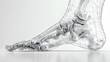 © Yuparet - Detailed Wireframe Mesh of Human Foot Anatomy Revealing Bones and Muscles Structure