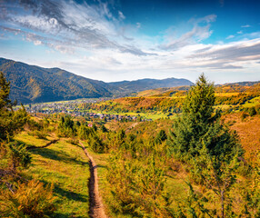 Wall Mural - Down path to Kolochava village. Astonishing morning scene of Carpathian mountains, Ukraine, Europe. Exciting autumn scenery. Beauty of nature concept background.