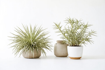 Sticker - Green Plants in White Pots