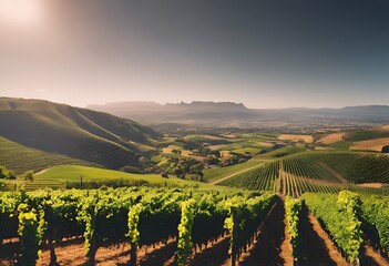 Wall Mural - AI-generated illustration of South African vineyards in sunlight, with mountains in the background
