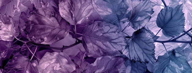 Sticker - Purple and Blue Tinted Leaves Nature Background