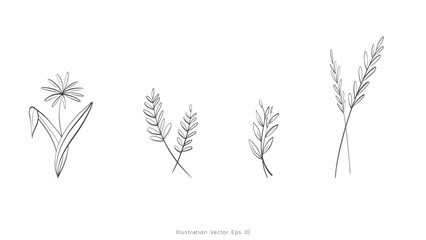 Wall Mural - Collection set Minimal drawn floral leaves botanical line art Hand drawn leaves line Floral branch , Minimal line art drawing for print on white background, Vector illustration EPS 10
