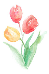 Sticker - Tulip png pink flower watercolor spring seasonal graphic