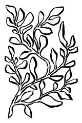 Wall Mural - Leaf png sticker, ink brush botanical transparent background