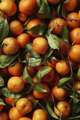 Wall Mural - Freshly picked oranges with lush green leaves, perfect for decoration or still life photography