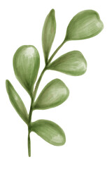 Sticker - Hand drawn green leaves transparent png