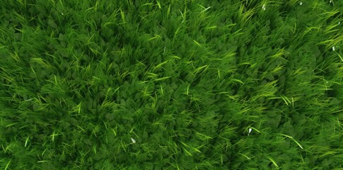 Sticker - grass seamless texture on a green background