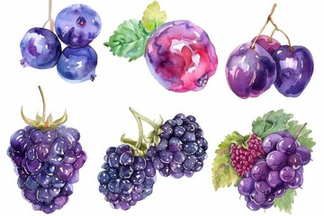 Poster - Watercolor Illustration of Blackberry Assortment: Juice, Jam, and Ripe Berries