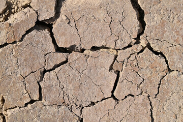 Cracked soil after drought