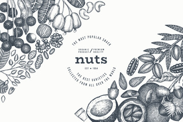 Wall Mural - Hand Drawn Nuts Branch And Kernels  Template. Organic Seed Vector Design. Retro Nut Illustration. Engraved Style Botanical Banner.