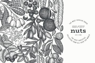 Wall Mural - Hand Drawn Nuts Branch And Kernels  Template. Organic Seed Vector Design. Retro Nut Illustration. Engraved Style Botanical Banner.
