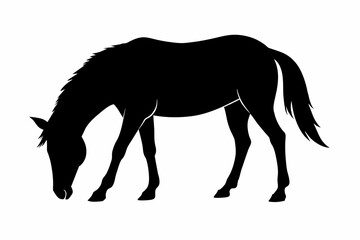 Canvas Print - Black silhouette of a grazing horse isolated on a white background. Concept of a wild animal illustration, minimalist style, equine art. Print, icon, logo, template, pictogram, element for design