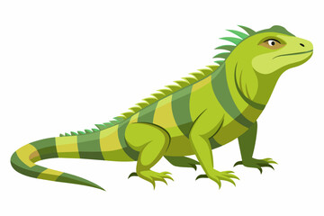 Wall Mural - Green iguana isolated on white background. Illustration of lizard with striped body and detailed scales. Concept of wildlife, exotic animal, and tropical fauna. Print, icon, logo, element for design.