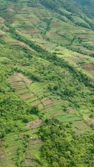 Wall Mural - Aerial view of valley with farmland and agricultural land in mountainous area. Negros, Philippines