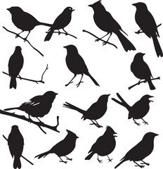 Poster - birds on a branch silhouette