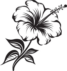 Naklejka na meble Hibiscus Flower Vector Art Serene Graphic Identity Tropical Hibiscus Bouquet Creative Logo Vision