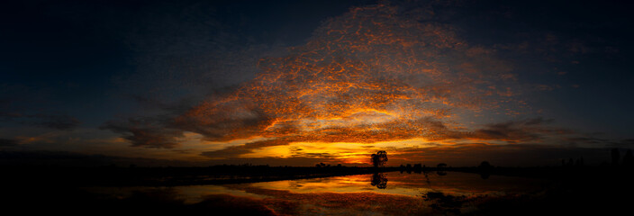 Wall Mural - scenic view of beautiful sunrise or dawn above the pond or lake at spring or early summer morning wi
