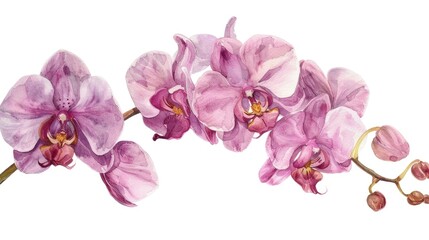 Aufkleber - A close-up shot of a single flower on a white background, great for use in advertising or editorial content