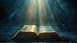 © nikola-master - The Bible on a dark background with rays of light.