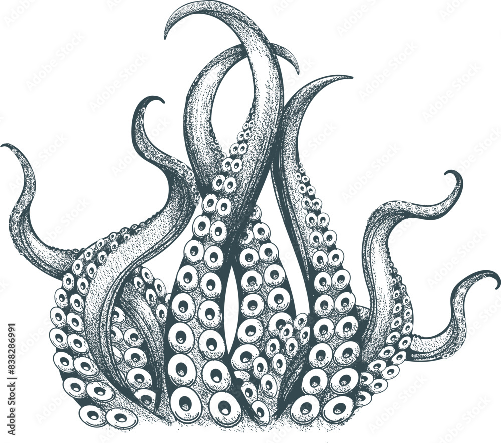 Hand drawn engraving octopus tentacles Stock Vector | Adobe Stock