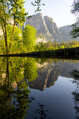 Wall Mural - Reflection of Yosemite Falls in a calm section of the Merced River. Photo taken in the summer.