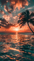 Wall Mural - sunset over a swimming pool with palm tree