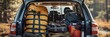 © Ilia Nesolenyi - A close-up photo of a car trunk filled with neatly organized camping gear, ready for an outdoor adventure
